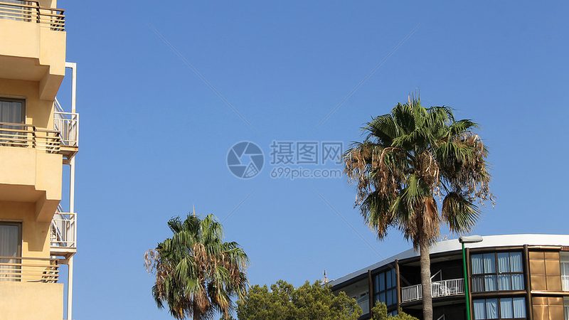 选择旅游公司时，要关注其信誉与资质。以下是一些判断标准：